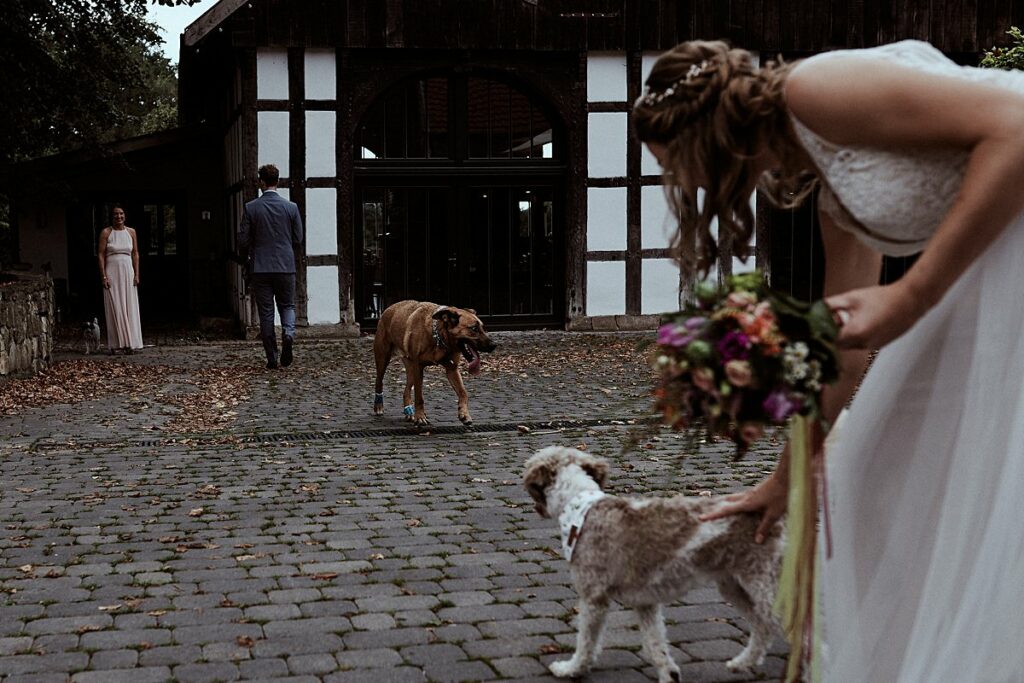 Vegetarische Hochzeit mit Hunden im Sommer Scheunenhochzeit Herford Bielefeld von Laer