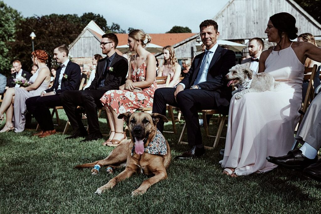 Vegetarische Hochzeit mit Hunden im Sommer Scheunenhochzeit Herford Bielefeld von Laer