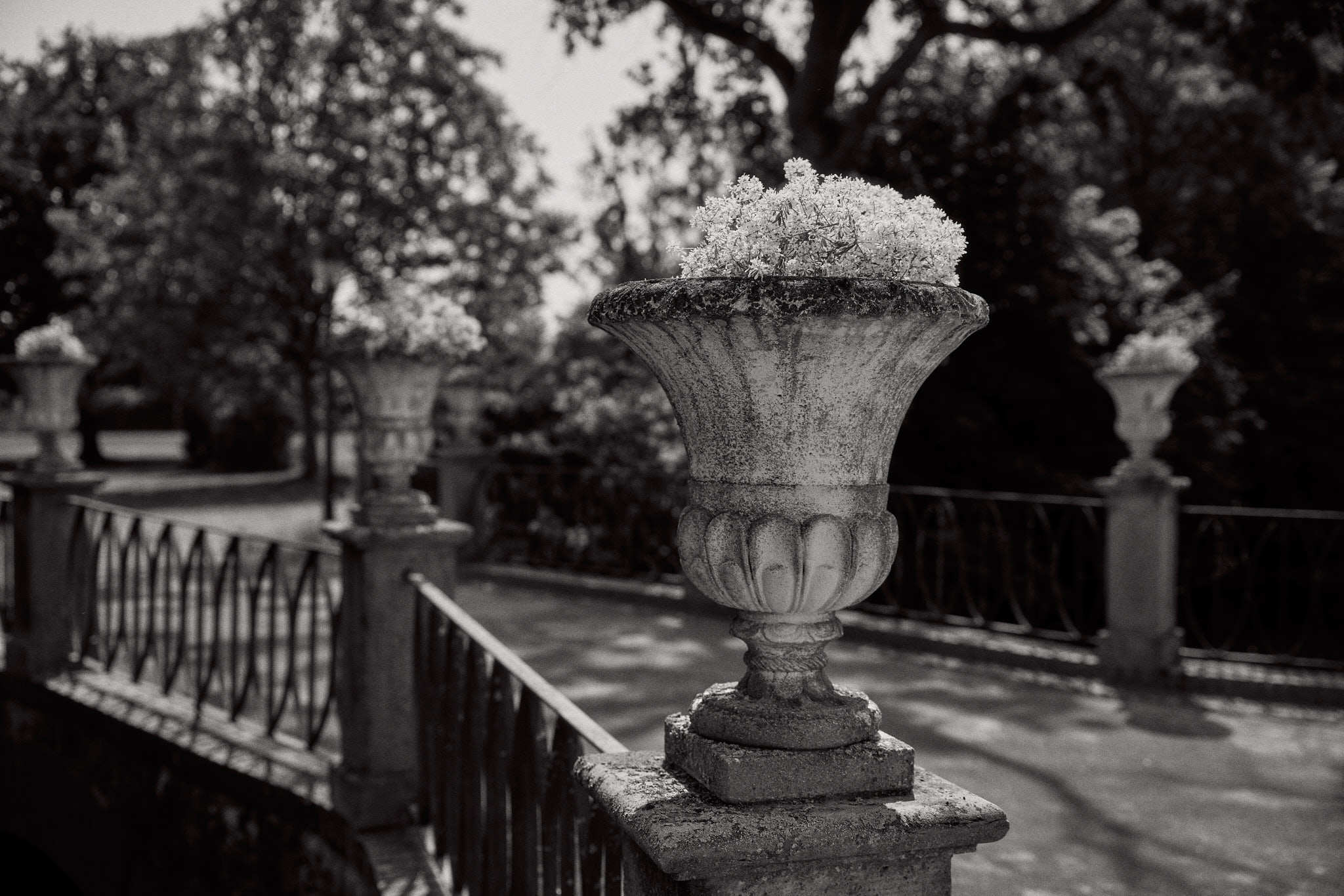 Hochzeitsfotos auf Schloss Ovelgönne freie Trauung Bad Oeynhausen